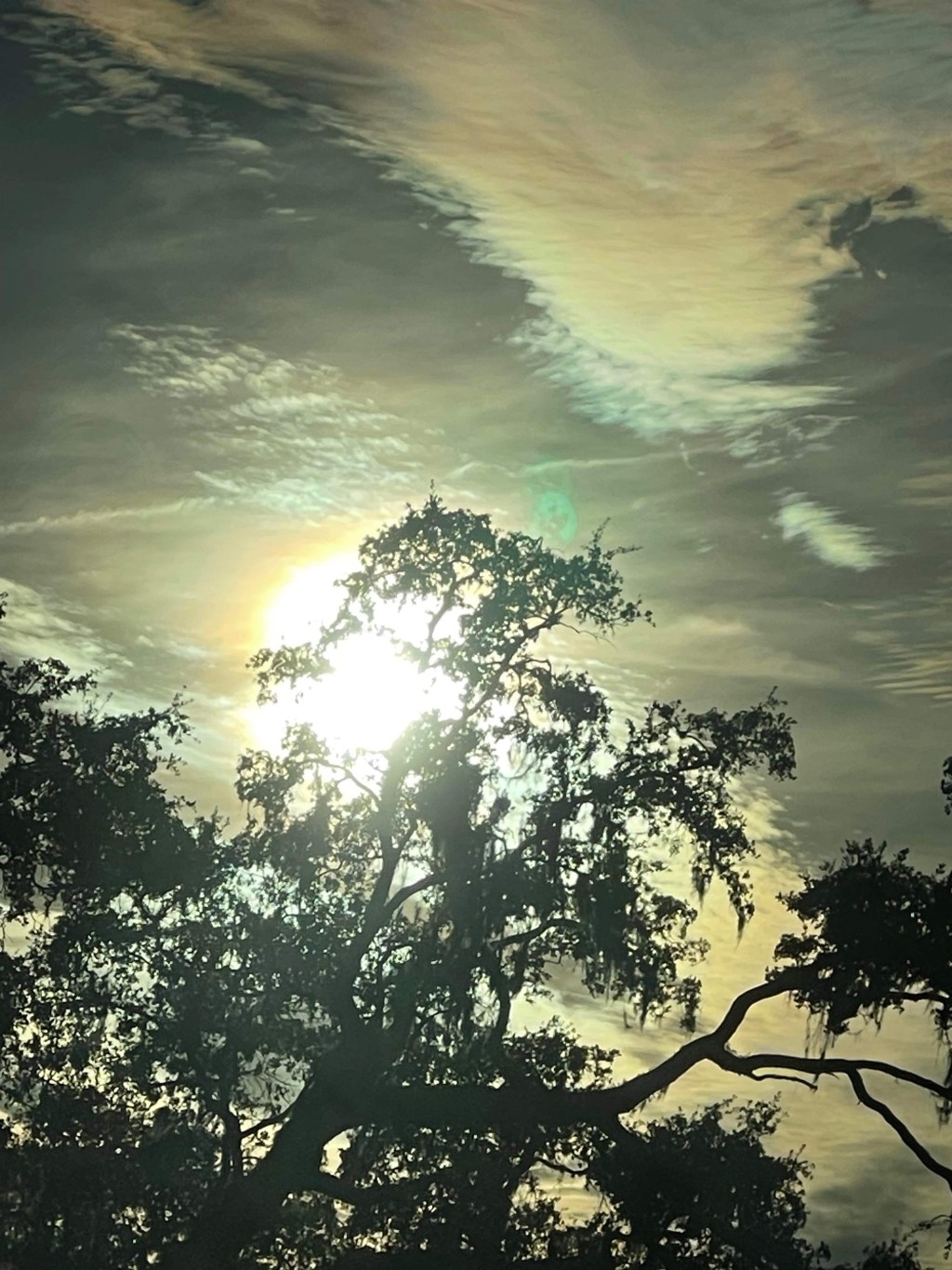 Florida’s Natural Beauty