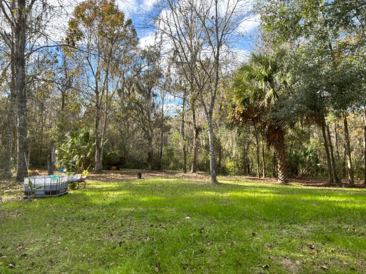 Compassion and Understanding…